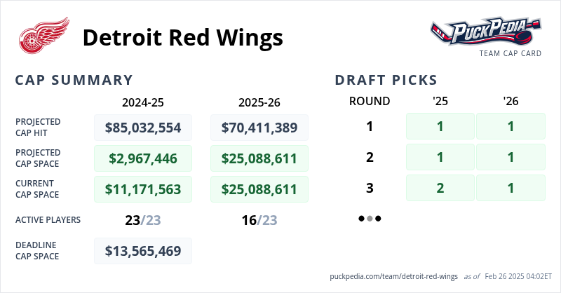 Detroit Red Wings Cap Summary