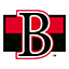 Belleville Senators logo