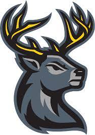 Iowa Heartlanders logo
