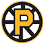 Providence Bruins logo