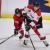 NHL Draft Pick Rights set to Expire in June